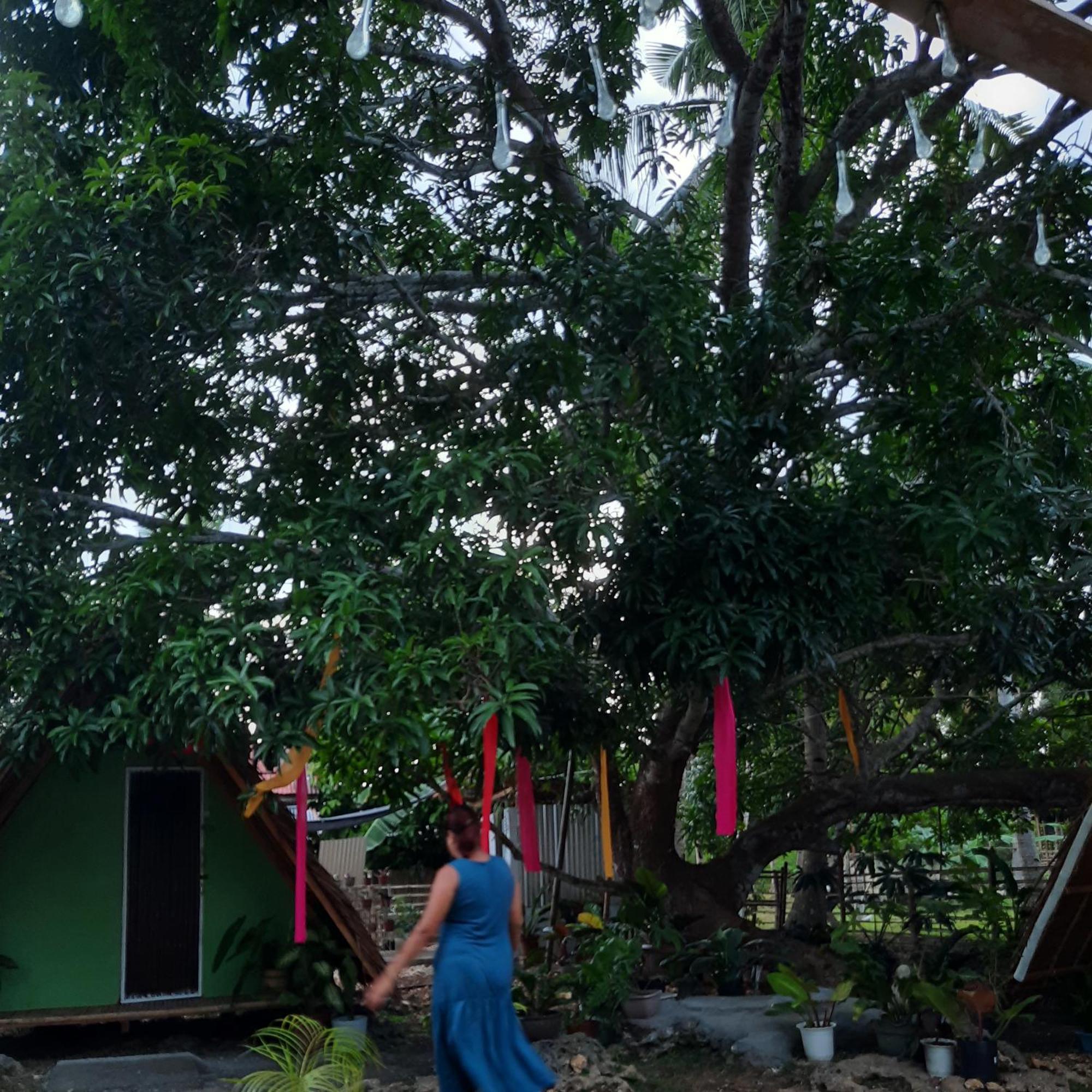 Lagkaw Uno In Lagkaw Homestay Panglao Dış mekan fotoğraf