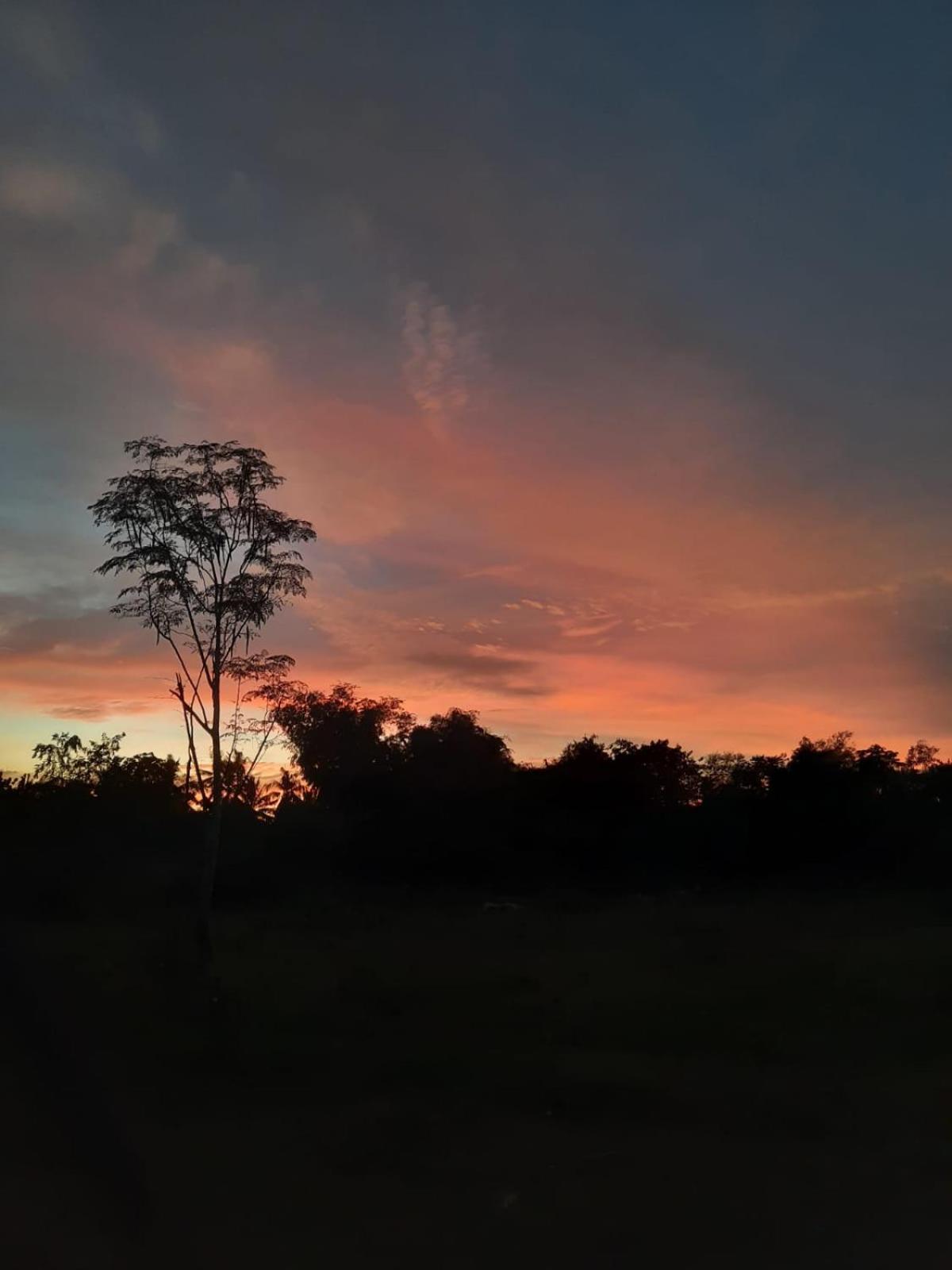 Lagkaw Uno In Lagkaw Homestay Panglao Dış mekan fotoğraf