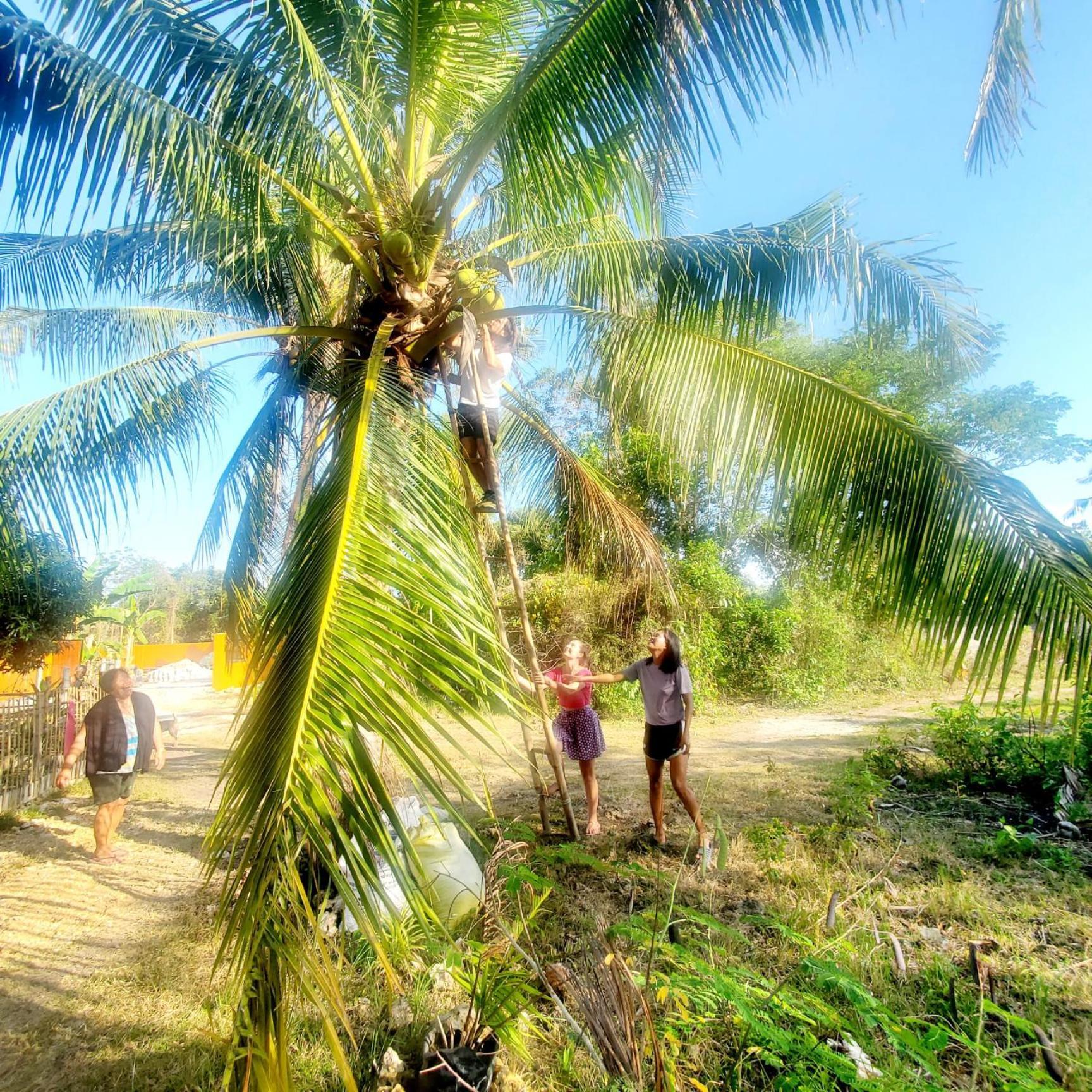 Lagkaw Uno In Lagkaw Homestay Panglao Dış mekan fotoğraf