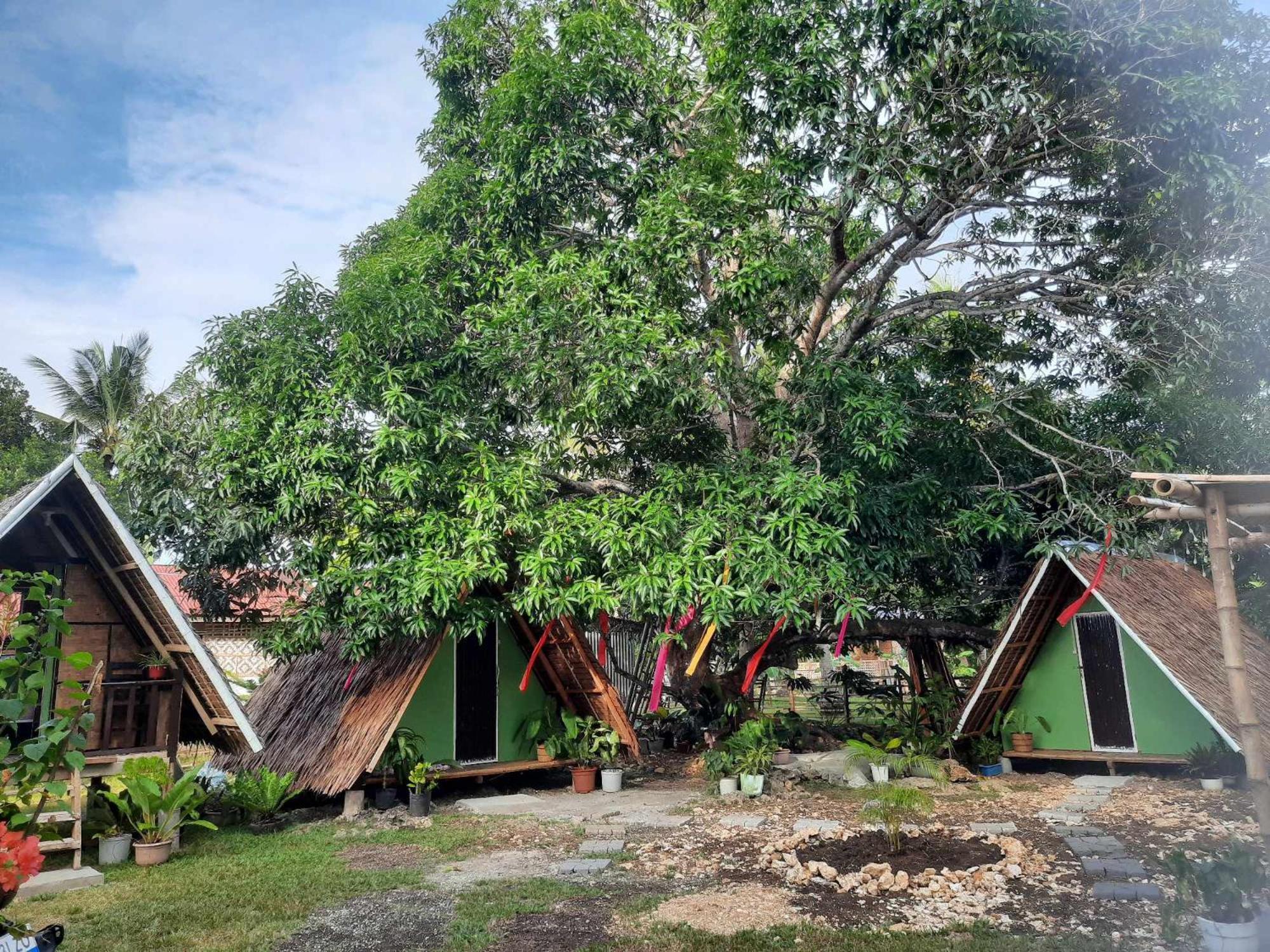 Lagkaw Uno In Lagkaw Homestay Panglao Dış mekan fotoğraf